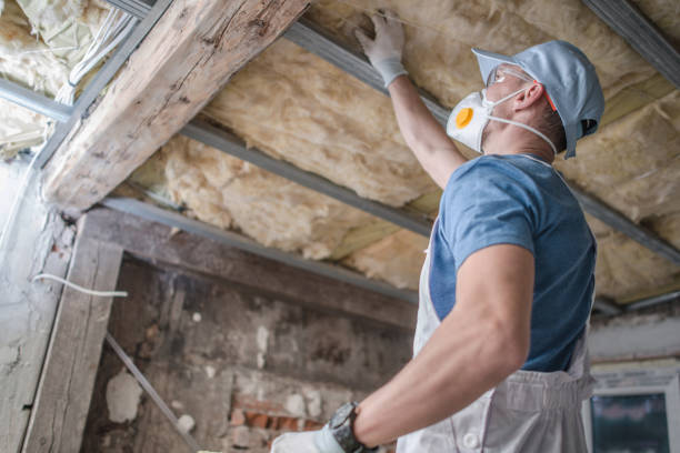 Best DIY Insulation Kits and Guidance in Brillion, WI