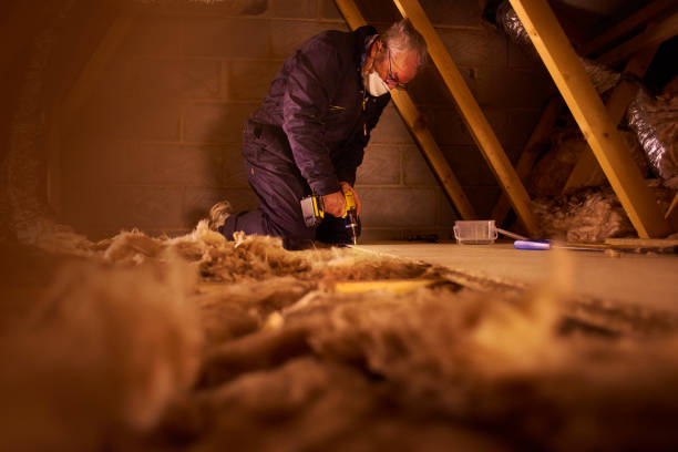 Best Eco-Friendly Insulation in Brillion, WI